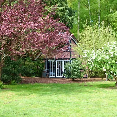 Meinsbur Boutique 4* Bendestorf